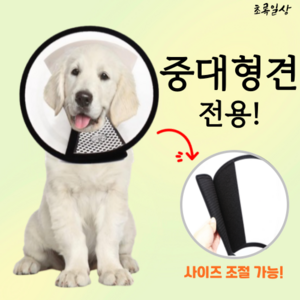 초록일상 중형견 대형견 강아지 반 투명 초경량 플라스틱 넥카라