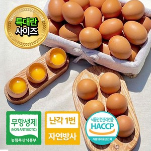 따봉프레시 HACCP 난각번호 1번 황제 특대란 유정란 자연방사 무항생제, 1개, 40구