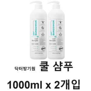 닥터방기원 쿨 샴푸 블루모히또향, 1L, 2개