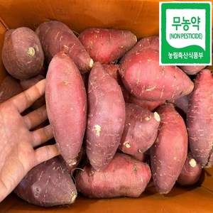 [정품정량이상]토울고구마 영암 무농약 꿀고구마, 1박스, 한입(80g이하 아이들 간식용)3kg