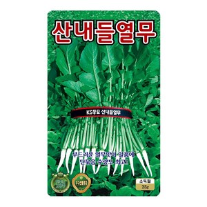 열무씨앗 25g 산내들열무 씨앗 대장 KS종묘, 1개