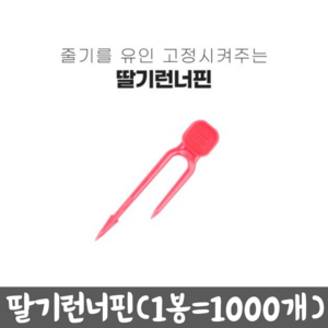 청년농자재 딸기줄기유인핀 딸기런너핀 러너핀, 1000개