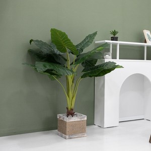 알로카시아화분set 125cm 인테리어 조화나무, C타입, 1개
