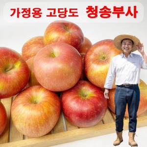 [농장직송]경북 꿀통 부사사과 가정용 고당도 햇사과, 1박스, 3kg