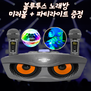 부엉이 블루투스 듀얼 마이크 노래방 가정용 캠핑용 차량용 노래방기계 미러볼 파티라이트 or 16컬러 선셋조명 증정, 부엉이노래방+파티라이트