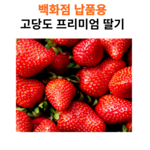 16brix 초달달 설향 딸기, 1개, 750g