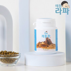 쾌통환 90g, 1개