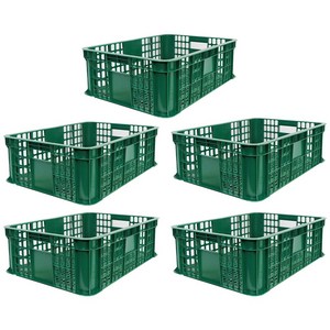 세화파렛텍 계육 상자 닭 정육 플라스틱 박스, 5개, 녹색