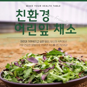 [팜네이처] 친환경 어린잎 채소 모음, 1개, 500g