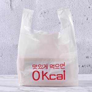 더바른 배달봉투 인쇄형, 20L, 100개