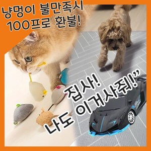 고양이장난감(멍이 냥이) 원격조종 RC카, a, 1개 기본할인