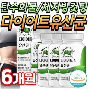 비엔 날씬 다이어트 유산균 bnr17 비에날씬 프롤린 모유 유래 미미, 슬림다이어트유산균, 6개, 120정