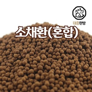 대흥한방 소채환 500g, 1개