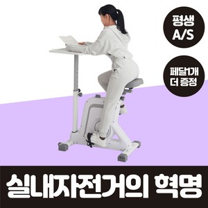 정직한형제들 실내자전거 PRO 가정용 바이크 유산소 운동 기구 헬스 좌식 사이클