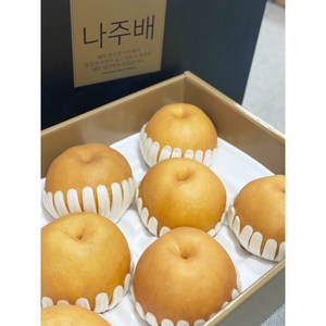 나주배 햇배 신고 특품 선물용 가정용 명절 과일 선물, 1개, 나주 햇배(신고) 선물용 15kg(16-20과)
