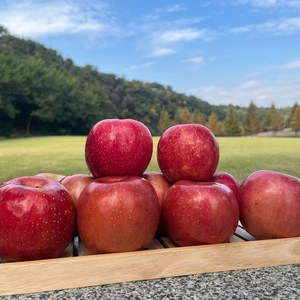 [과일정원] 고당도 부사 사과 아삭한 꿀사과 산지직송, 1박스, 2kg