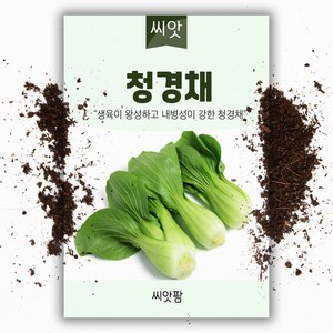 청경채씨앗(1000립), 1개