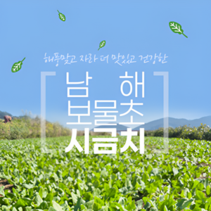 [산지직송]보물초 시금치 1차손질 남해 (설1/21주문마감), 500g, 1개