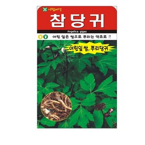 세인화분 참당귀 200립 - 국산 씨 씨앗 토당귀 당귀, 2개