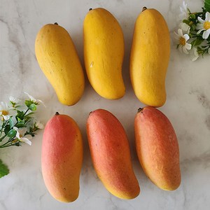 [망고성지] 무지개망고 마하차녹 항공수입 고당도선별, 3KG내외 [9과] 선물용 무지개망고, 1개