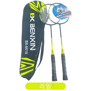 보라 임문용 미니 베드민턴세트 실내용 가정용, 라임, 1개