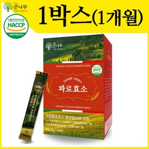 The큰나무 파로효소 분말 스틱 이탈리아 파로 효소, 90g, 1박스