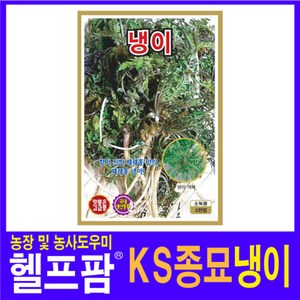 헬프팜 냉이 5000립 씨앗 종자 KS종묘, 1개