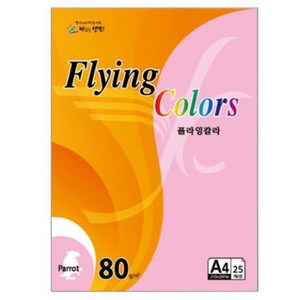 삼원 OA용지 플라잉칼라 파이롯 P39 노른자색 A4 80g 25매, 2세트