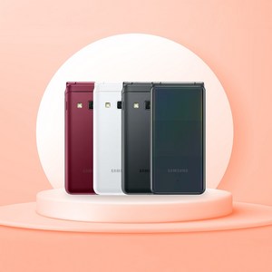 갤럭시 폴더2 SM-G160N 공기계, 32GB, 화이트