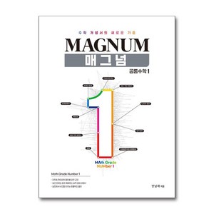 매그넘 공통수학 1 (2025년), 수학영역