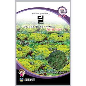 딜 허브 씨앗 향신료 종자 차 dill heb seed 100알, 1개