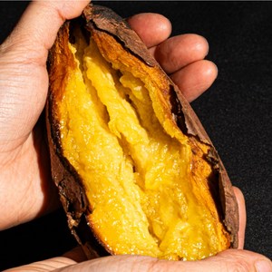 해남협동조합 꿀밤고구마, 1개, 5kg(중상)
