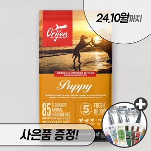 오리젠 퍼피 2kg 6kg 11.4kg 독 강아지 사료 스몰브리드 포메라니안 말티푸 푸들, 오리젠 퍼피 11.4kg + 우리집상전 사은품
