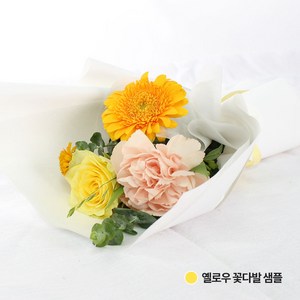 꽃시장 직배송[ 랜덤플라워 컬러 미니 꽃다발] 졸업식 꽃다발 생화택배 농장 생화꽃, 옐로우, 1개