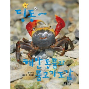 딩동~ 해안 동물과 물고기 도감, 지성사, 딩동 도감 시리즈, 상세 설명 참조