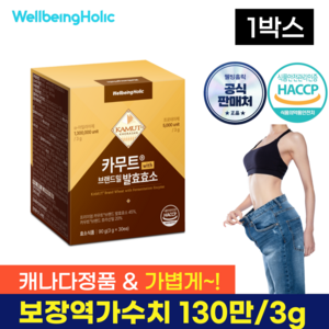 웰빙홀릭 카무트 효소 골드 130만 발효효소 보장 곡물 가루 분말 HACCP, 1개, 90g