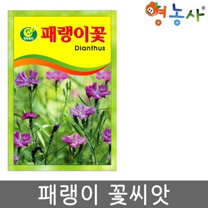 패랭이 꽃씨앗 150립 패랭이씨 종자 키우기, 1개