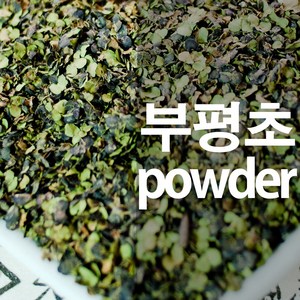 부평초가루 개구리밥 분말, 300g, 1개, 1개입