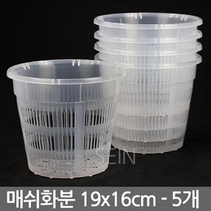 (5개) 투명 매쉬 화분 11호 11x10cm - 메쉬 플분 슬릿 난 분 식물 분재 삽목 통기 원형 난분 그물 다육 선인장 인테리어