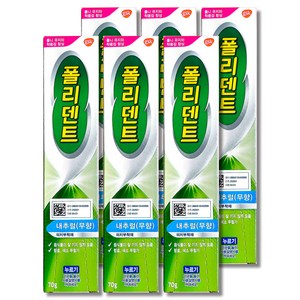 폴리덴트 의치부착재 내추럴 무향 70g, 6개