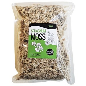 농사친구 뉴질랜드 수태 AA 100g(자체포장), 100g, 1개