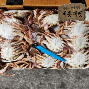 황게10kg 업소용 대용량, 6단 (60~80미 내외), 1개