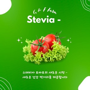 스테비아 방울 토마토 500g 1+1 망고향/청포도향, 2개