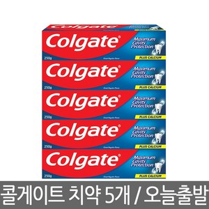 콜게이트 치약 250g 5개 코스트코 입냄새 그레이트 레귤러 고불소 1450ppm