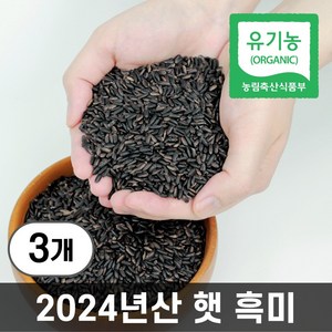파인드네이처 국산 유기농 햇 잡곡 흑미쌀 흑미, 3개, 1kg