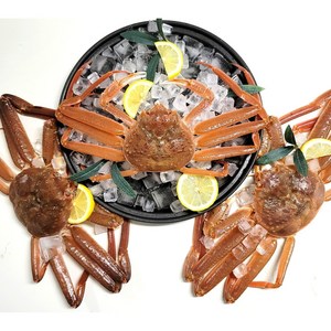 [당일조업] 초가성비 선물용 포항 구룡포 생물 박달대게 5마리 (9.5cm내외) 고객감사이벤트증정100%, 1박스