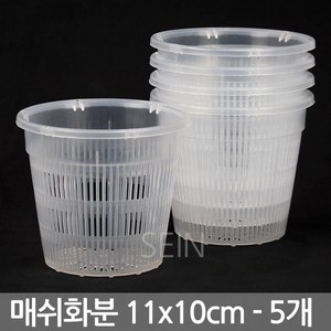 투명 통기 매쉬 화분 5개 - 메쉬 플분 슬릿 난 재배 풍란 호접란 란 분 식물 분재 삽목 원형 난분 그물 다육 선인장 인테리어