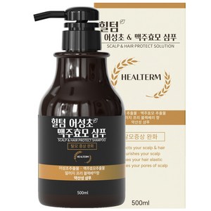 힐텀 어성초 맥주효모 탈모완화 약산성 샴푸 블랙베리향 500ml, 1개