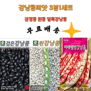 강낭콩씨앗 검정강낭콩씨앗 흰강낭콩종자 얼룩강낭콩씨앗 3봉1세트 무배, 3개