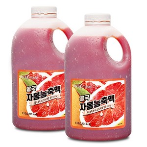 흥국에프앤비 자몽 농축액, 1.5L, 2개